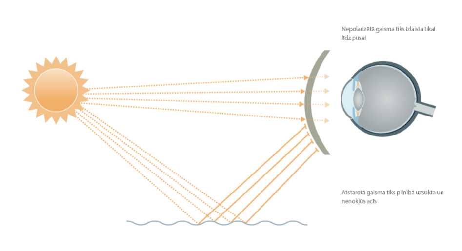 148pdid-sun-poliarizacijos-efektas-lv_3361-80fc6a4db372df50497f72caadc73ab3.PNG