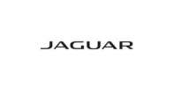 jaguar_99df826141_4208-b2c4b22839c9e3abc1e1656e4f934835.jpg