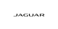 jaguar_99df826141_8100-6146f93fa090d0363c3c9860d19e9c72.jpg
